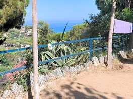 Vistas desde la parcela