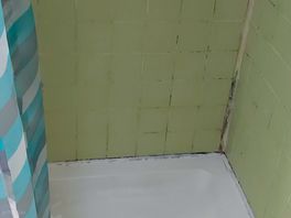 Black mould imside shower