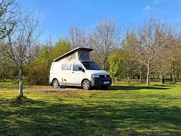 Spacious pitches surrounded by trees