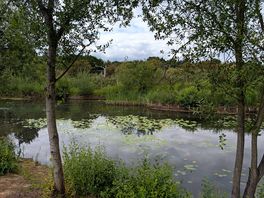 The back lake