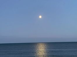 Beach views