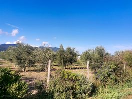 Farm
