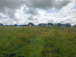 Couple more of the pitches