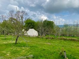 Tucked away and surrounded by apple trees.. 'The Orchard' double bell tent.
