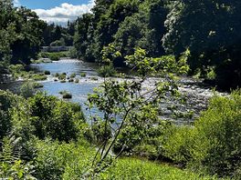 On the bank of the river