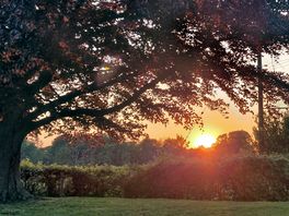 Sunset views!