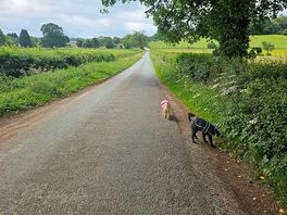 Road