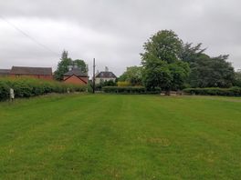 Well-mown grass