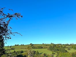View from our pitch in the morning.