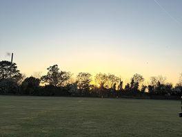 Sunset view