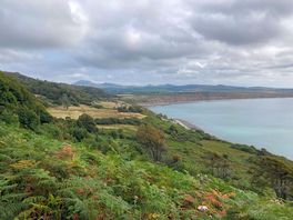 Crafted camping at ty'r felin