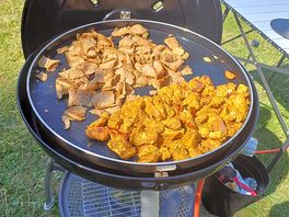 Donner/chicken tikka. on the 1st night we arrived
