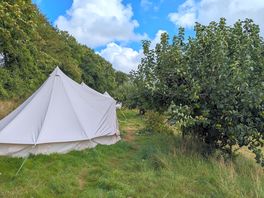 Tents