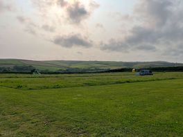 The view