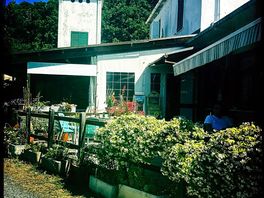Das restaurant und die bar aussen-alles voller schöner blumen
