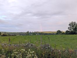 Across the field