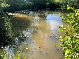 Lake by the glamping section