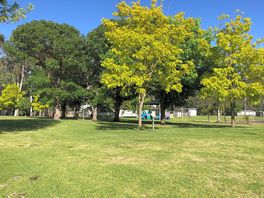 Non electric pitches among the trees