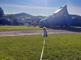 Our pup enjoying the site