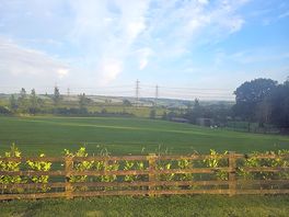 View from our caravan