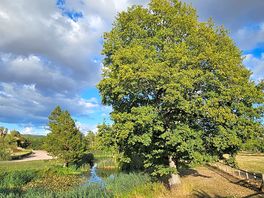 Stunning countryside