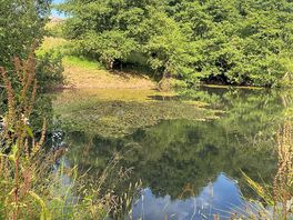 Lake walk in the sun
