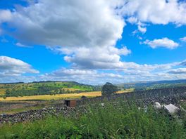 Stunning views!