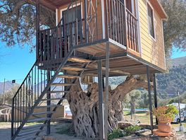 Treehouse onsite