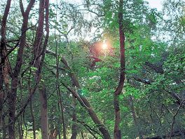 Beautiful surroundings of natural beauty