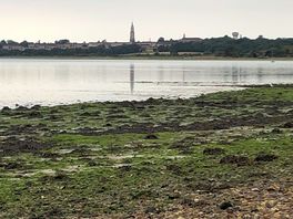 Low tide near the site