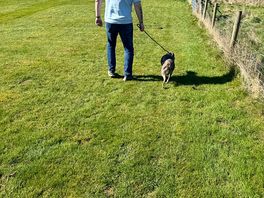 Dog friendly