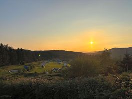 View from the top of the 4x track across the site