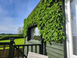 Lush greenery giving a really natural, relaxed feeling to the whole of the property.