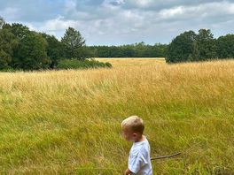 A walk in the meadow.