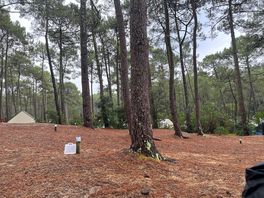 Campsite