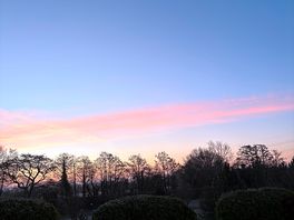 A frosty morning view