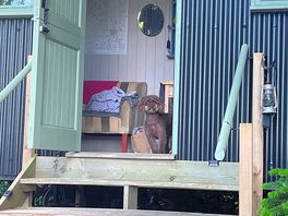 At home in the hut