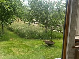 From the window of cabin