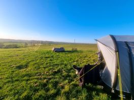 Aylesmore farm campsite