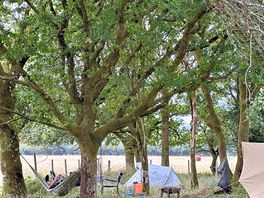 Campsite