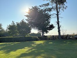 Morning view