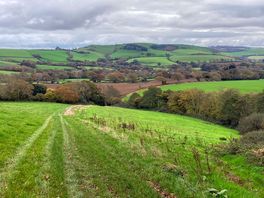 View from trails to nearest village