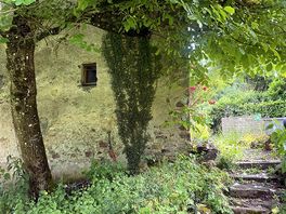 Little pathways around the site for you to explore