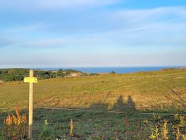 View out to sea
