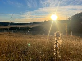 A view from a nearby field to the campsite.