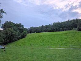 Field with different animals over our stay including horses, ducks and goats