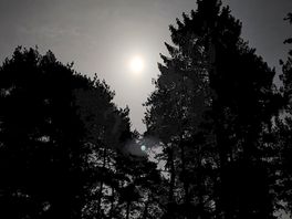 Night sky on camp site