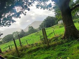 Scenery