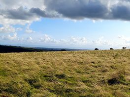 View from site