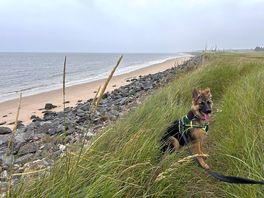 Golf course and beach a 5 minute walk away.